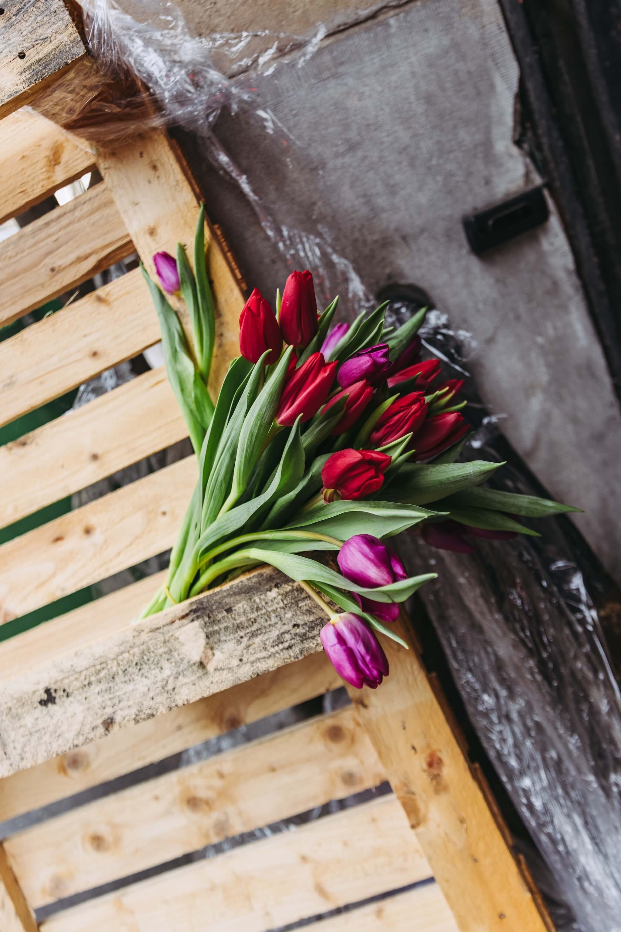 Fleuriste Batignolles, Lévis, Plaine Monceau : Bouquetier rue Legendre