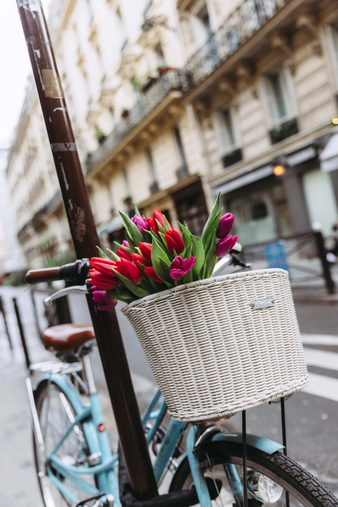 Bouquet d'anniversaire : comment choisir selon la personne