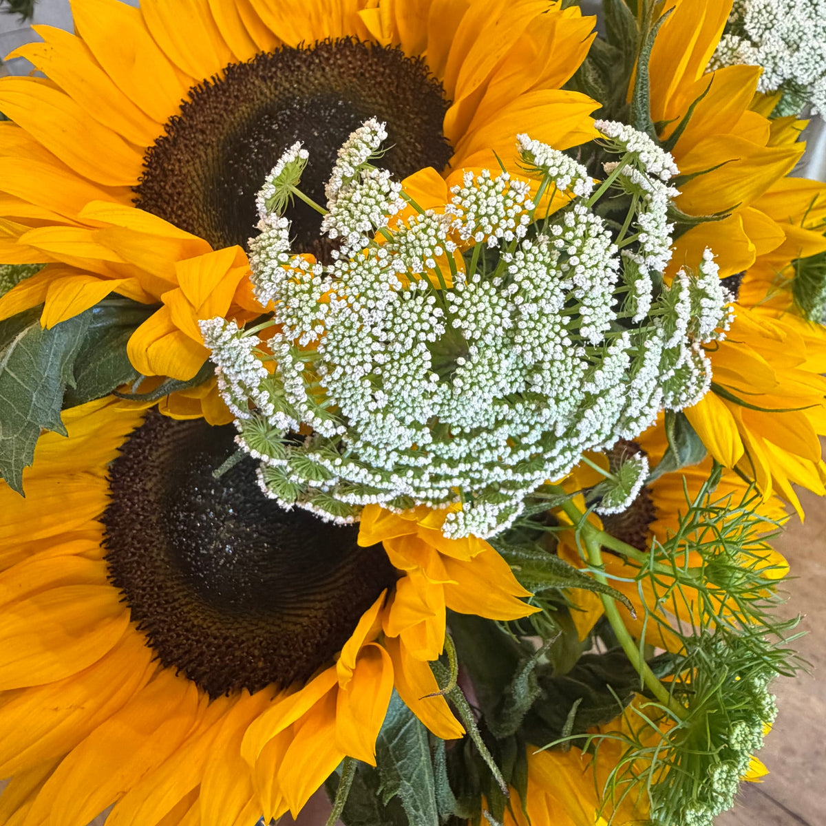 Bouquet de tournesols et ammi majus, fleurs de saison en été
