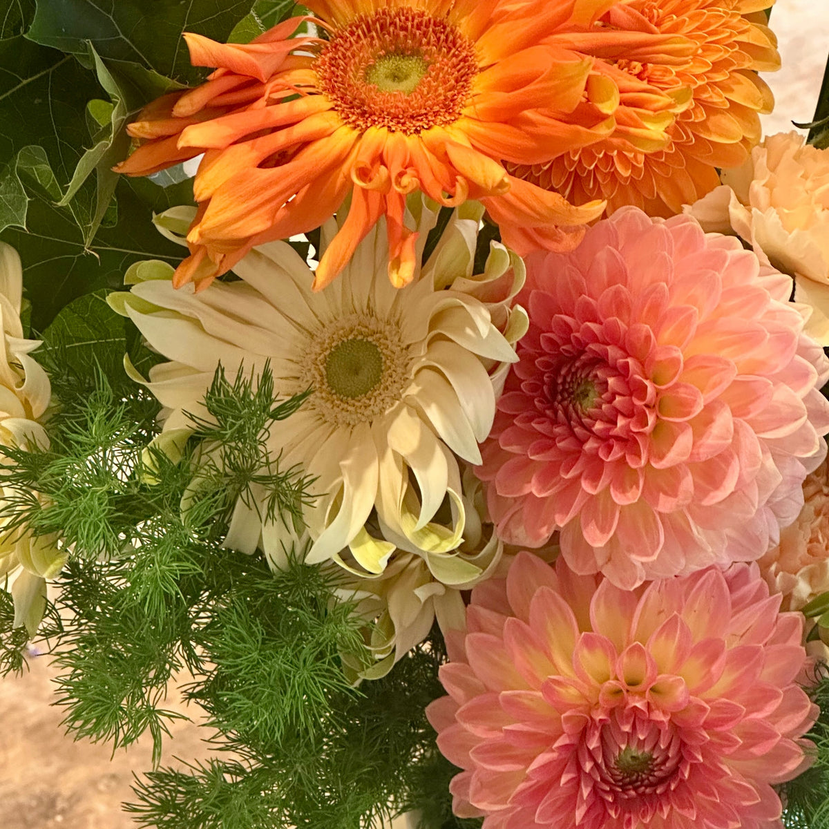 Le Solaire, gerberas orange et blanc, dahlias roses et feuillage d'asparagus en gros plan - Bouquetier Paris 17