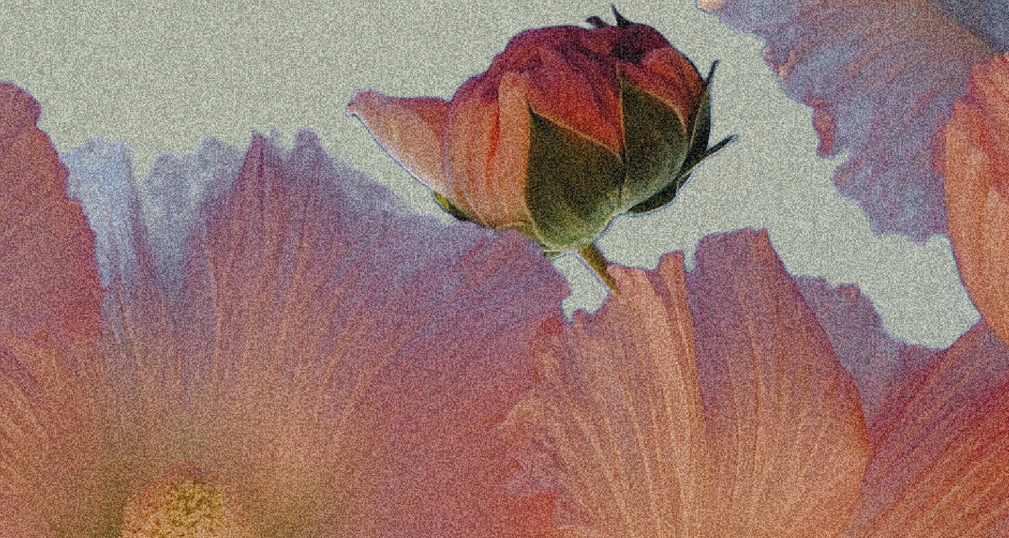 Illustration florale abstraite utilisée comme visuel de fond