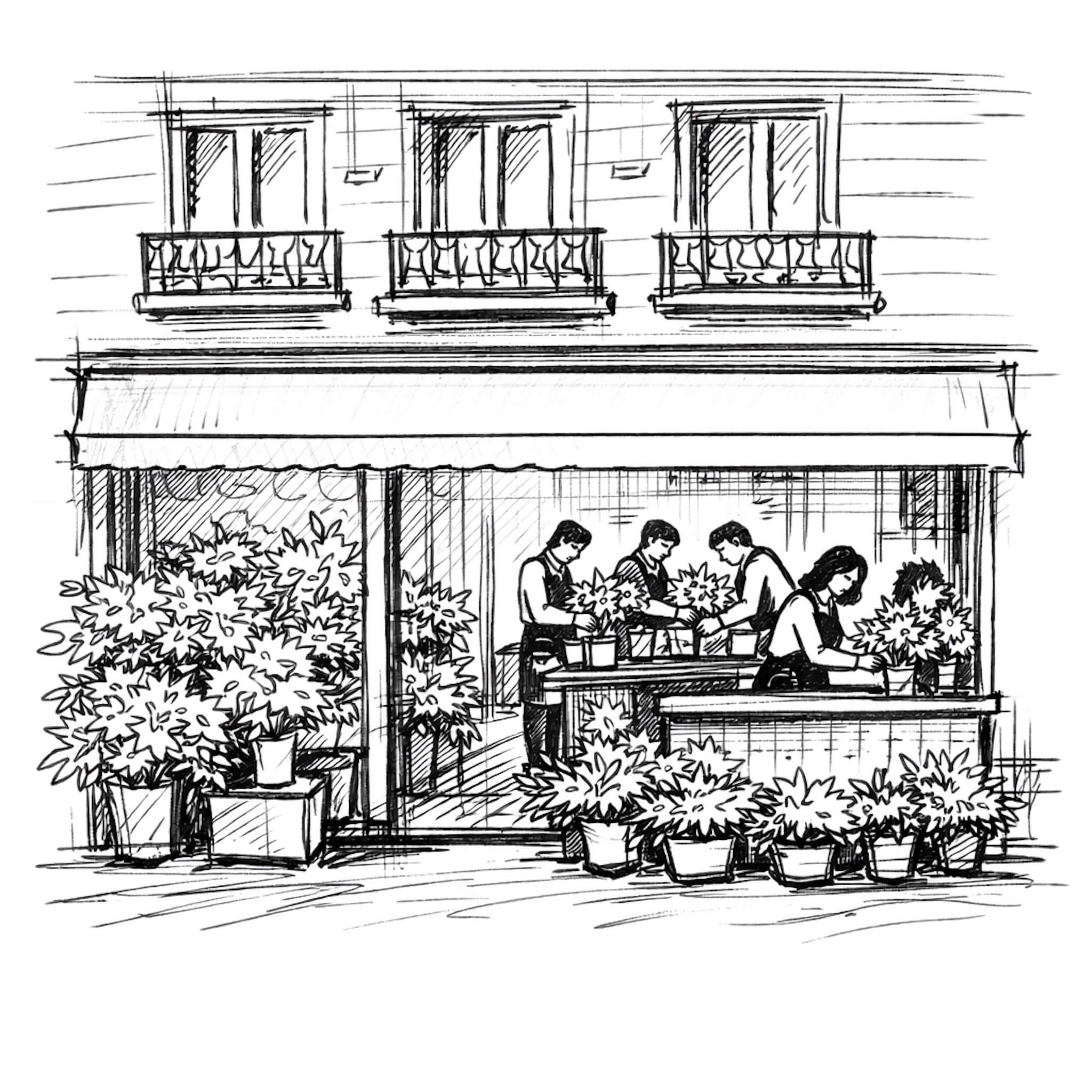 Croquis de la boutique-atelier Bouquetier à Paris 17, avec des fleuristes au travail et des bouquets de saison en vitrine.